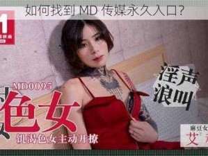 如何找到 MD 传媒永久入口？