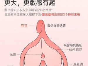 在地铁被做到走不了路——新型成人玩具，让你体验前所未有的快感