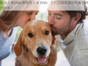 狗狗与人类DNA;狗狗与人类 DNA：它们之间究竟存在着怎样神秘的联系？