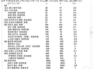 失落城堡手游付费模式及价格详解：探究手游内的费用结构与玩家消费体验全解析