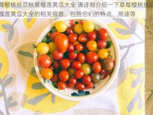 草莓樱桃丝瓜秋葵榴莲黄瓜大全 请详细介绍一下草莓樱桃丝瓜秋葵榴莲黄瓜大全的相关信息，包括它们的特点、用途等