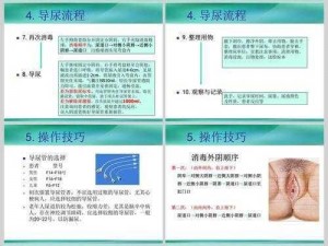 女生在小便高清图——高品质私密护理产品，呵护女性健康