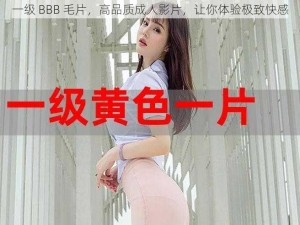 一级 BBB 毛片，高品质成人影片，让你体验极致快感