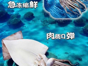 深海捕捞，3151cy 鱿鱼，口感鲜美 Q 弹，营养丰富