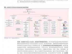 量子革命引领者：速度争霸游戏安装与高级配置详解