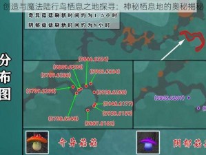 创造与魔法陆行鸟栖息之地探寻：神秘栖息地的奥秘揭秘