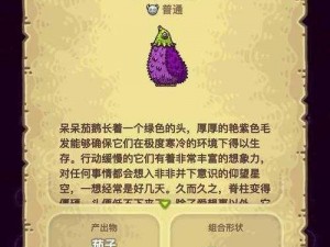 黑暗料理王怪物升级攻略：升级方法全面解析及升级地点一览