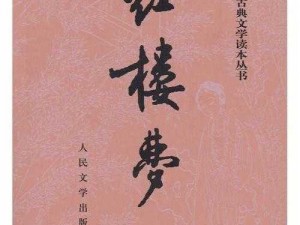 日版红楼梦 110：中日文化融合的经典之作，带你领略别样的红楼风情