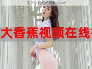 国产小视频免费看,None