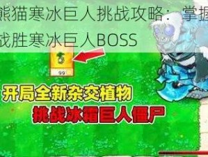 太极熊猫寒冰巨人挑战攻略：掌握关键技巧战胜寒冰巨人BOSS