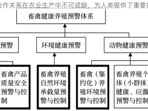 人与畜禽的合作关系在农业生产中不可或缺，为人类提供了重要的产品和服务