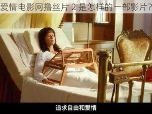 爱情电影网撸丝片 2 是怎样的一部影片？