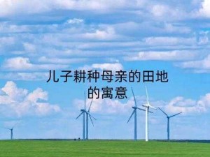 儿子耕种母亲的田地：寓意深远的农耕文化产品