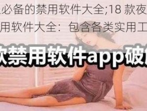 18款夜里必备的禁用软件大全;18 款夜里必备的禁用软件大全：包含各类实用工具及娱乐软件