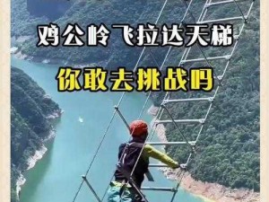 《挑战极限：破纪录之旅第六十五关攻略指南》