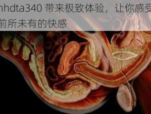 nhdta340 带来极致体验，让你感受前所未有的快感