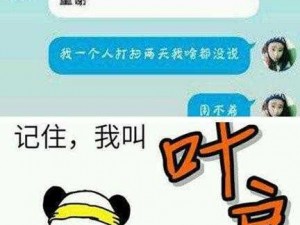 关于叶良辰撕帝吧吧主视频事件的深度剖析与解读