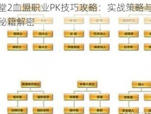 天堂2血盟职业PK技巧攻略：实战策略与操作秘籍解密