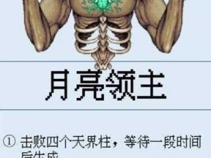 泰拉瑞亚月亮领主召唤方法详解：专家级BOSS挑战攻略