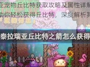 泰拉瑞亚宠物丘比特获取攻略及属性详解：全方位指南助你轻松获得丘比特，深度解析其独特属性