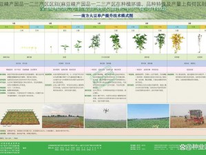 麻豆精产国品一二三产区区别(麻豆精产国品一二三产区在种植环境、品种特性及产量上有何区别？)