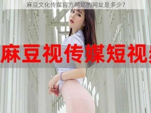 麻豆文化传媒官方网站的网址是多少？