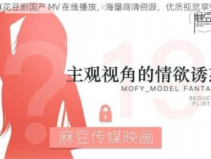 麻花豆剧国产 MV 在线播放，海量高清资源，优质视觉享受