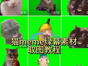 mememe 视频完整版在线观看，高清画质，无广告，畅享视觉盛宴