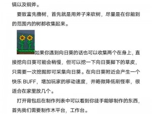 泰拉瑞亚无尽袋制作全攻略：详细步骤与技巧分享