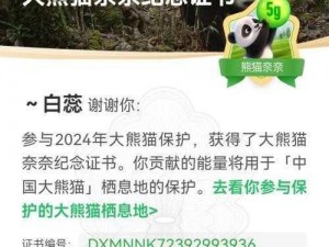 太极熊猫3：守护者称号获取攻略及属性全面解析——成为熊猫守护者的秘诀