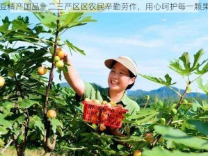 麻豆精产国品一二三产区区农民辛勤劳作，用心呵护每一颗果实