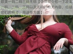 欧美一码二码三码无码【请详细介绍一下欧美一码、二码、三码以及无码的相关内容，包括它们的特点、用途等方面】