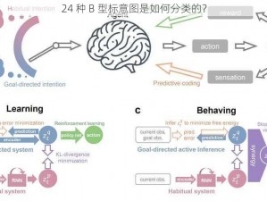 24 种 B 型标意图是如何分类的？