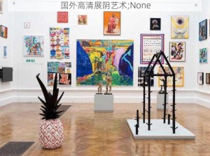 国外高清展阴艺术;None