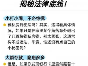 揭秘私房钱攻略：找到老公的隐藏财富第13关攻略详解与图文通关指南