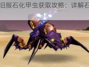 魔兽世界怀旧服石化甲虫获取攻略：详解石化甲虫获得方式