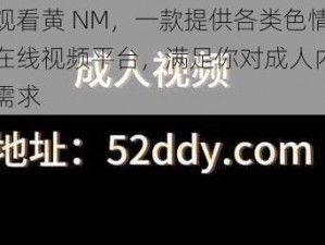 在线观看黄 NM，一款提供各类色情影片的在线视频平台，满足你对成人内容的所有需求