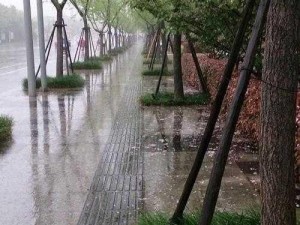 ツユやっぱり雨は降るんだね 超强防雨功能，让你轻松应对各种天气