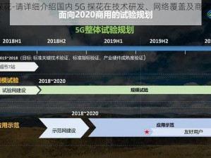 国内5G探花-请详细介绍国内 5G 探花在技术研发、网络覆盖及商用进程等方面的情况