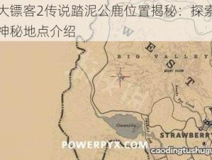 荒野大镖客2传说踏泥公鹿位置揭秘：探索游戏内的神秘地点介绍