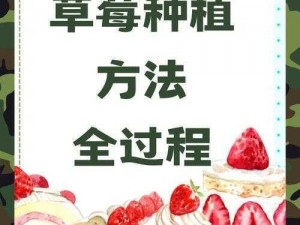 H厨房灌草莓—如何在 H 厨房中安全地进行灌草莓的操作步骤及注意事项？