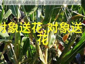 如何在草莓绿巨人樱桃丝瓜花卉之家中找到自己喜欢的内容？