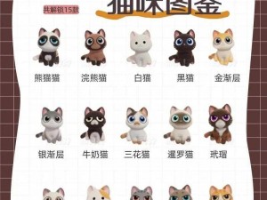 心动小镇养猫全攻略：从新手入门到养猫达人的实用指南