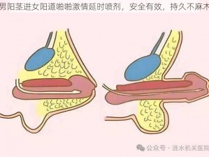 男阳茎进女阳道啪啪激情延时喷剂，安全有效，持久不麻木