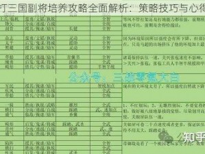 天天打三国副将培养攻略全面解析：策略技巧与心得分享