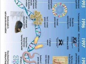 动物dna与人类dna生小孩、动物 DNA 与人类 DNA 结合后能否生出小孩？这一现象背后隐藏着怎样的科学奥秘？