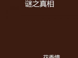 揭秘时光杀机真相：我是谜，答案揭晓时光之谜局全景解析