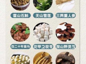 腹黑师兄的日常肉食动物不食草，珍稀草本成分，天然安全更健康