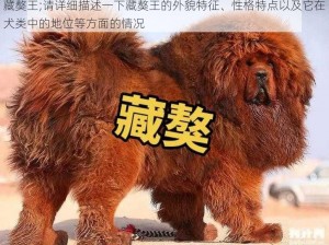 藏獒王;请详细描述一下藏獒王的外貌特征、性格特点以及它在犬类中的地位等方面的情况