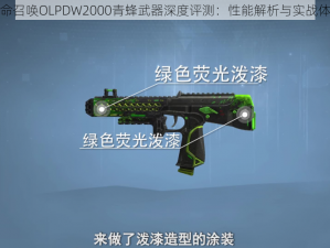 使命召唤OLPDW2000青蜂武器深度评测：性能解析与实战体验